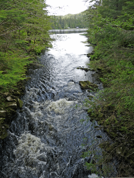 Ward Creek at Ward Lake Ketchikan AK