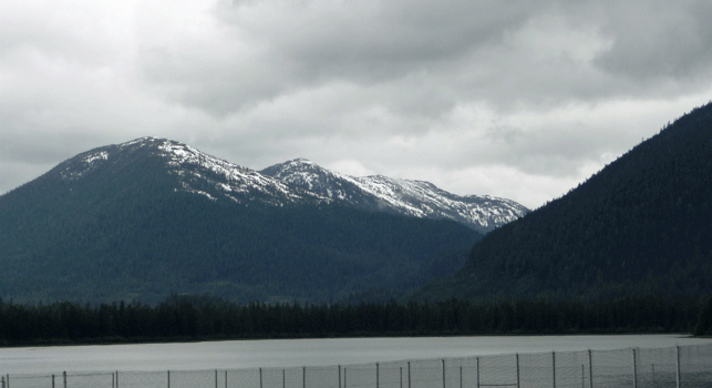 Blind Slough Mitkoff Island, AK