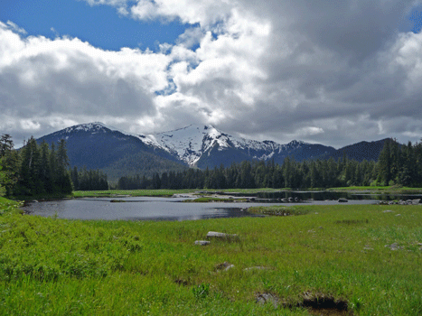 Blind River Rapids, Mitkof Island, AK