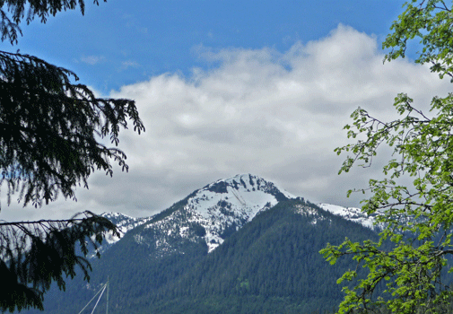 Kupreanof Island from Eagle's Roost Petersburg AK