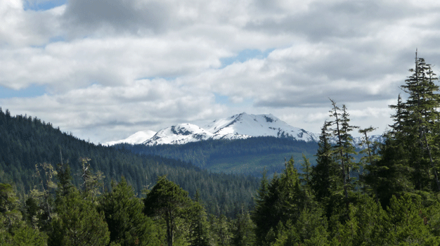 View from Fredriks Drive looking south Petersburg AK