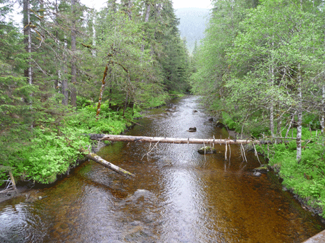 3 Lakes Drive Creek Petersburg AK