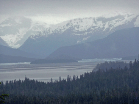 LeConte Glacier from 3 Lakes Road Petersburg AK