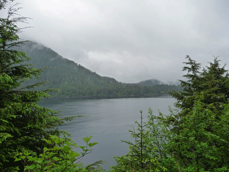 view south from Whale Park Sitka AK