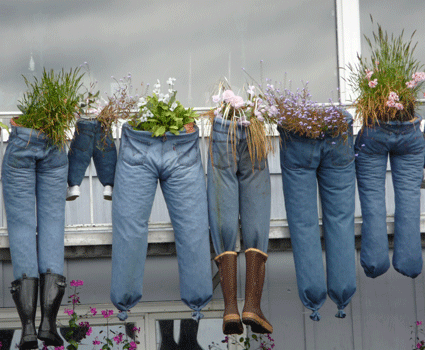 Blue jean planters Sitka AK