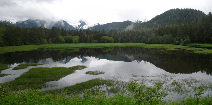 Starrigavan estuary in evening