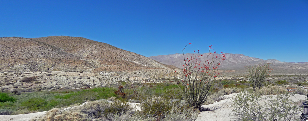 Agua Caliente campsite view