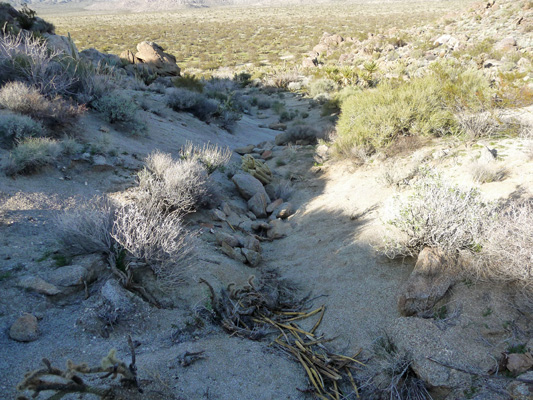 Downhill northward on Foot and Walker Pass