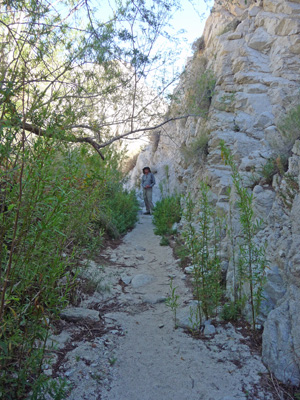 Slot canyon Moonlight Trail