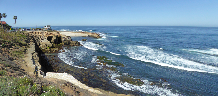 Children's Pool Beach La Jolla