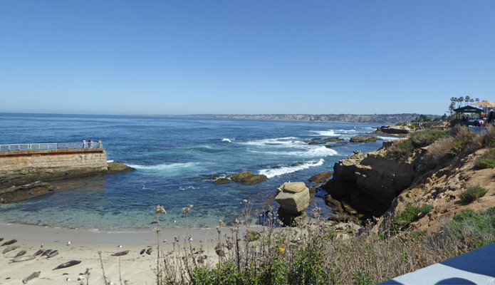 Children's Pool view La Jolla