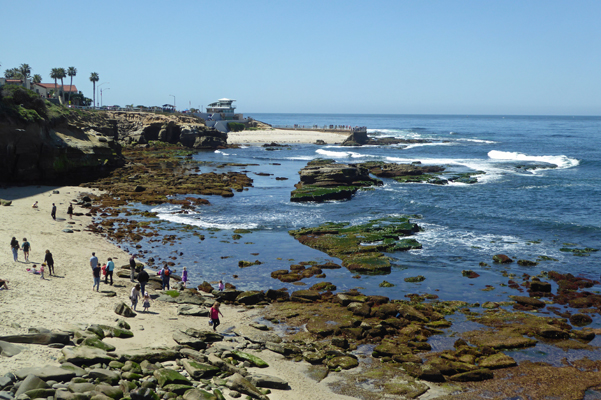 Children's Pool Beach La Jolla