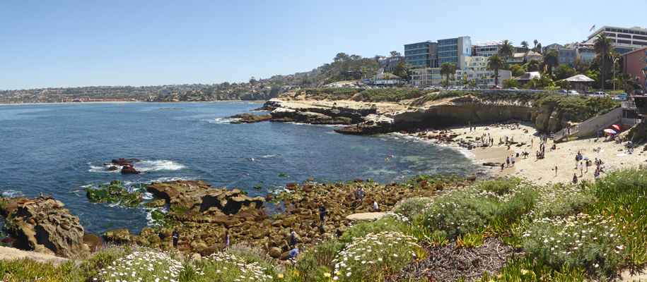 The La Jolla Cove