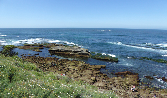 La Jolla CA