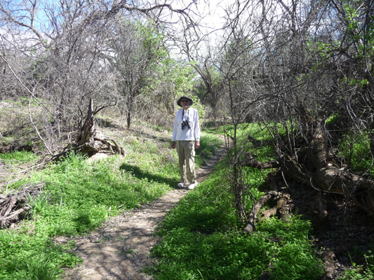 Walter Cooke Arivaca Creek Trail Buenos Aires NWR