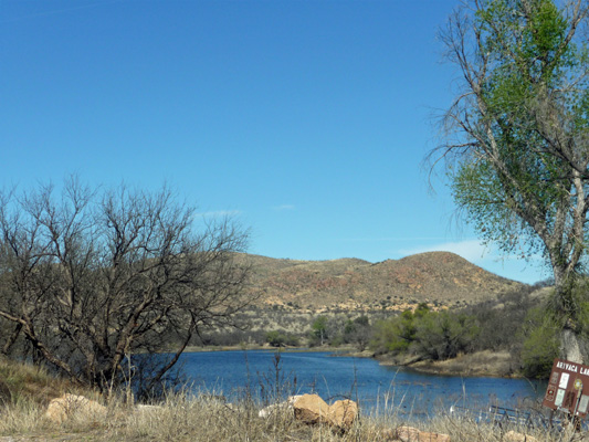 Arivaca Lake campsite view