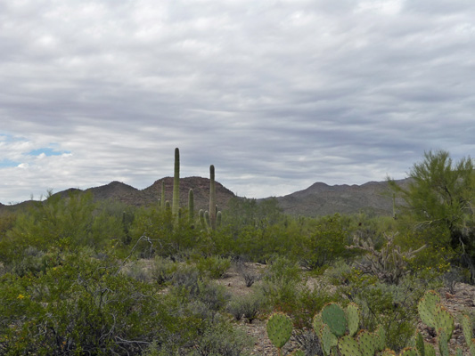 Gilbert Ray Campground site view