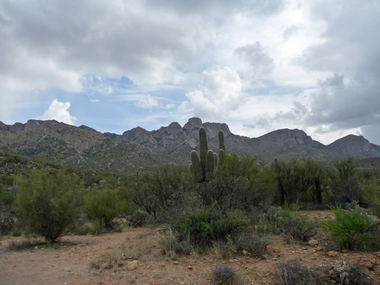 Canyon Loop Trail view