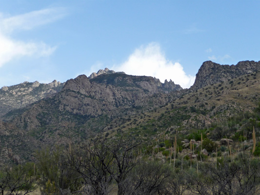 Catalina SP trail view