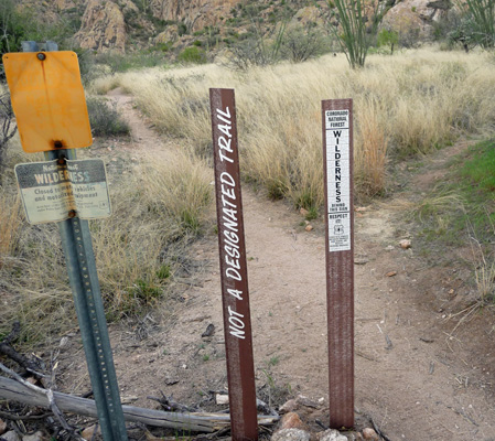 Wilderness sign Canyon Loop Trail Catalina SP