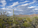 Gilbert Ray Campground view