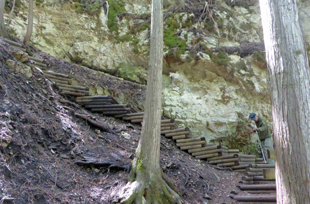 Stairs at BX Falls