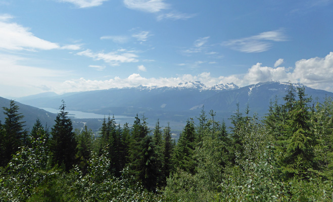 Snowforest Overlook