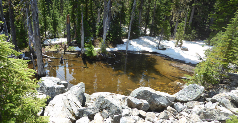 Snowy tarn Mount Revelstoke NP