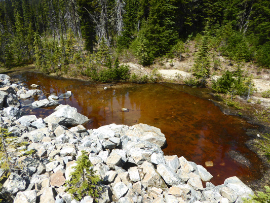 tarn Mount Revelstoke NP