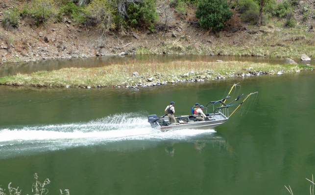 Park and Wildlife boat