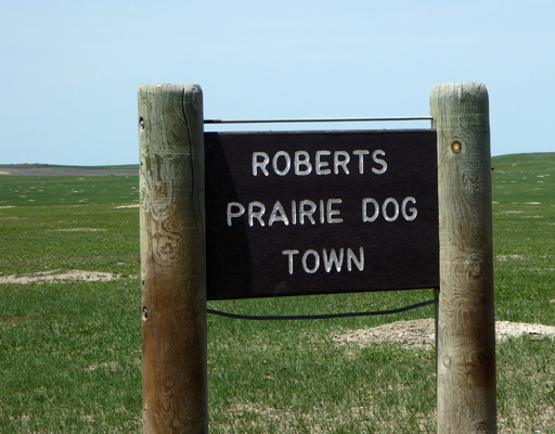 Roberts Prairie Dog Town