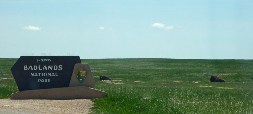 Bison Badlands NP