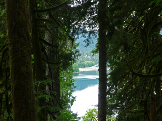 Baker Lake from Baker Lake Trail WA