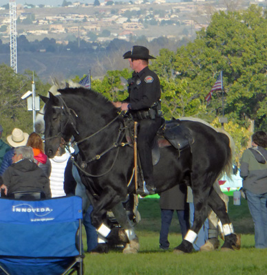 NM Mounted Search and Rescue