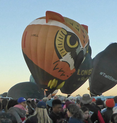 Owl balloon