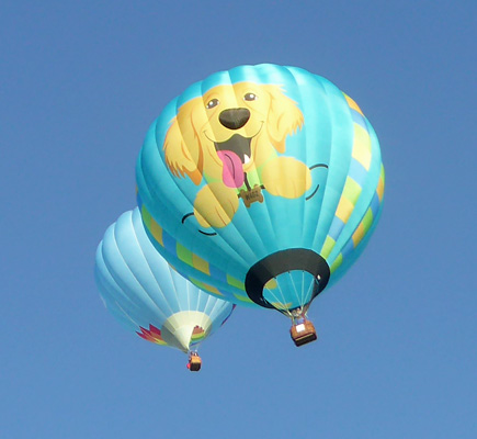 Golden retriever balloon