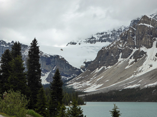 Crowfoot Glacier