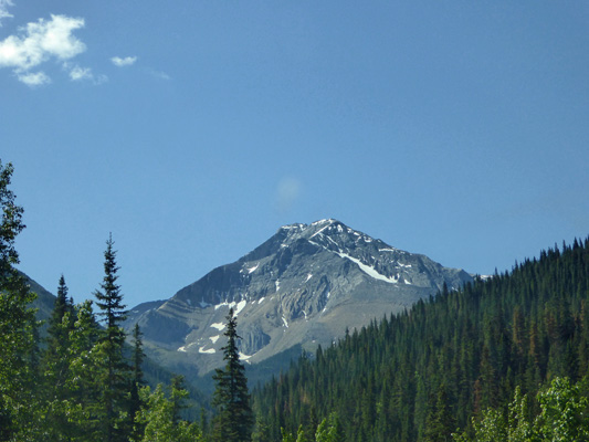 Fiddle Valley View