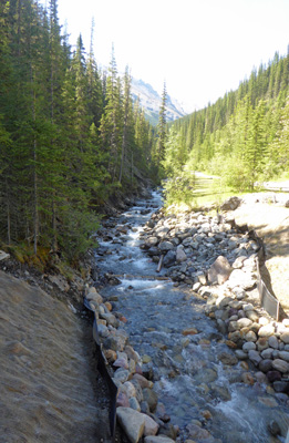 Sulfur Creek