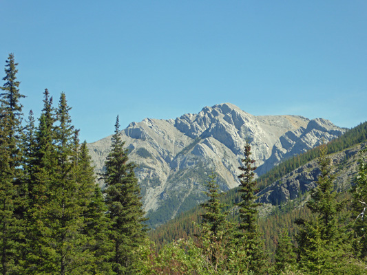 Fiddle Valley view