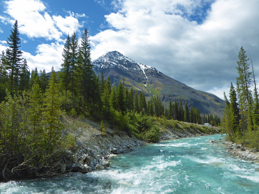 Tokumm Creek and the Vermilion River