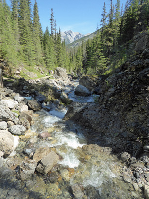 Sulfur Creek at Source of Springs