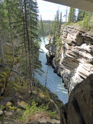 End of Athabasca Falls area
