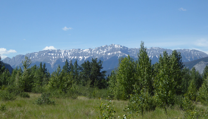 Pocahontas mine trail view