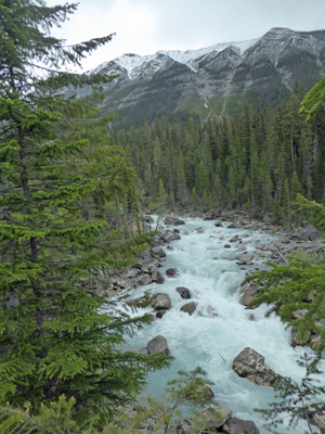 Yoho River