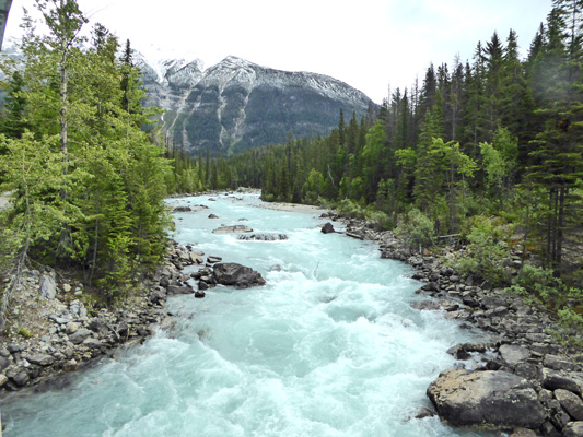 Kicking Horse River