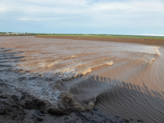 Tidal Bore Moncton NB