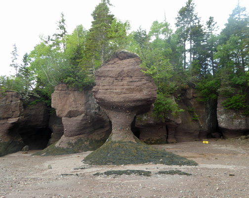 Flowerpot Rocks Hopewell Rocks NB