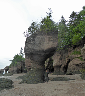 Flowerpot Rocks Hopewell Rocks NB