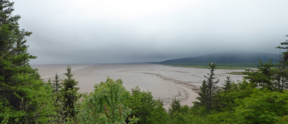 Daniels Flats Hopewell Rocks NB